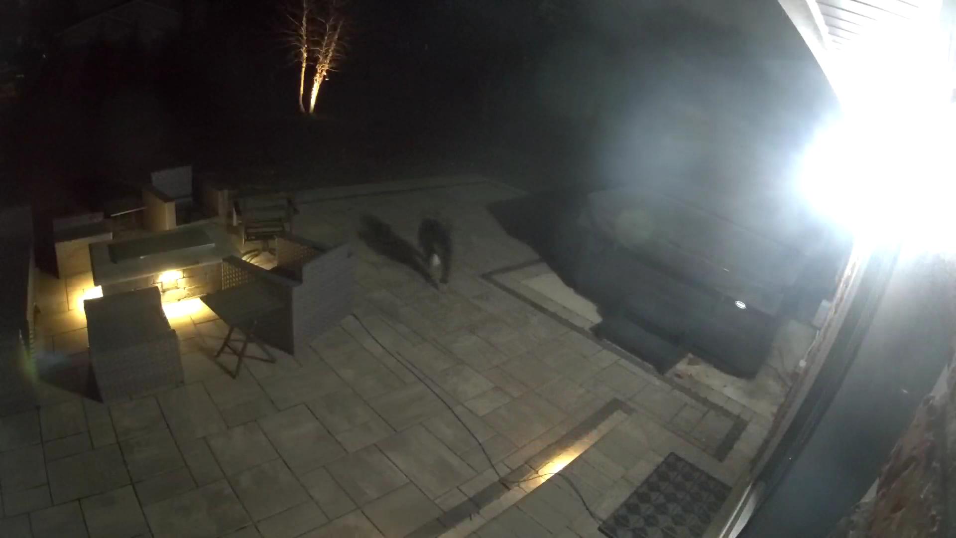 Suburban Rhythms on a Michigan Patio